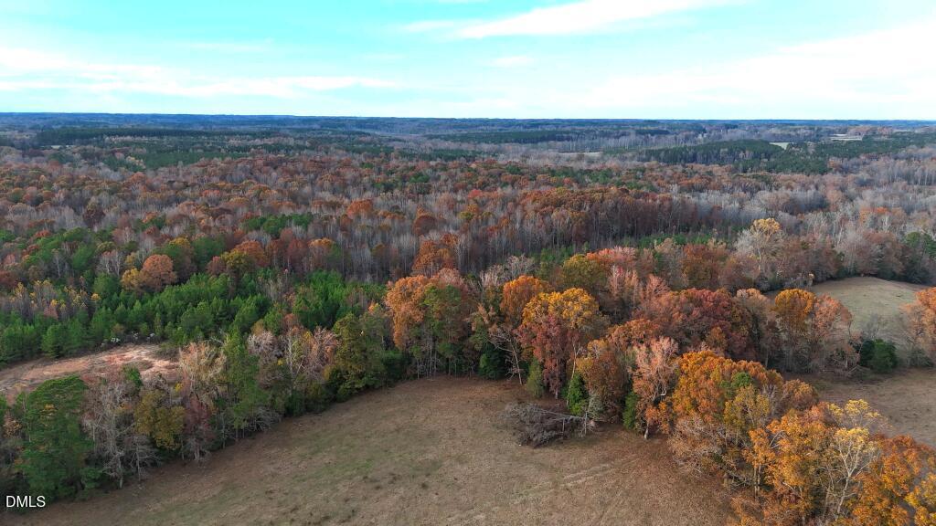 Lot 1 Cheeks Quarter Road Henderson, NC 27537 - Photo 17 of 19 a view of a lake in middle of forest