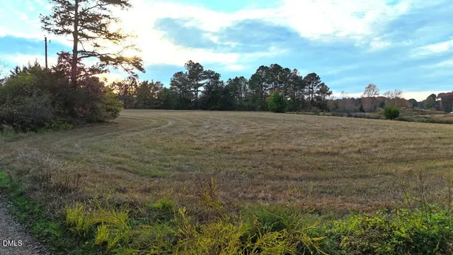 a view of a field of grass and trees