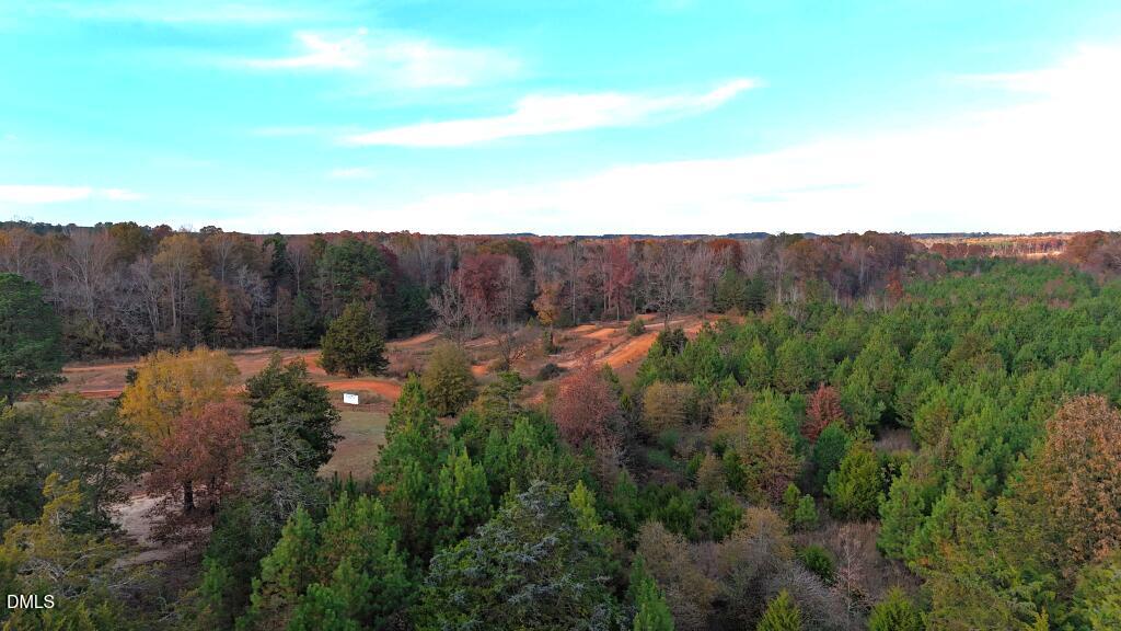 Lot 1 Cheeks Quarter Road Henderson, NC 27537 - Photo 7 of 19 a view of a bunch of trees