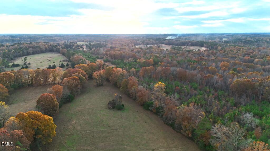 Lot 1 Cheeks Quarter Road Henderson, NC 27537 - Photo 9 of 19 a view of a city with lush green forest