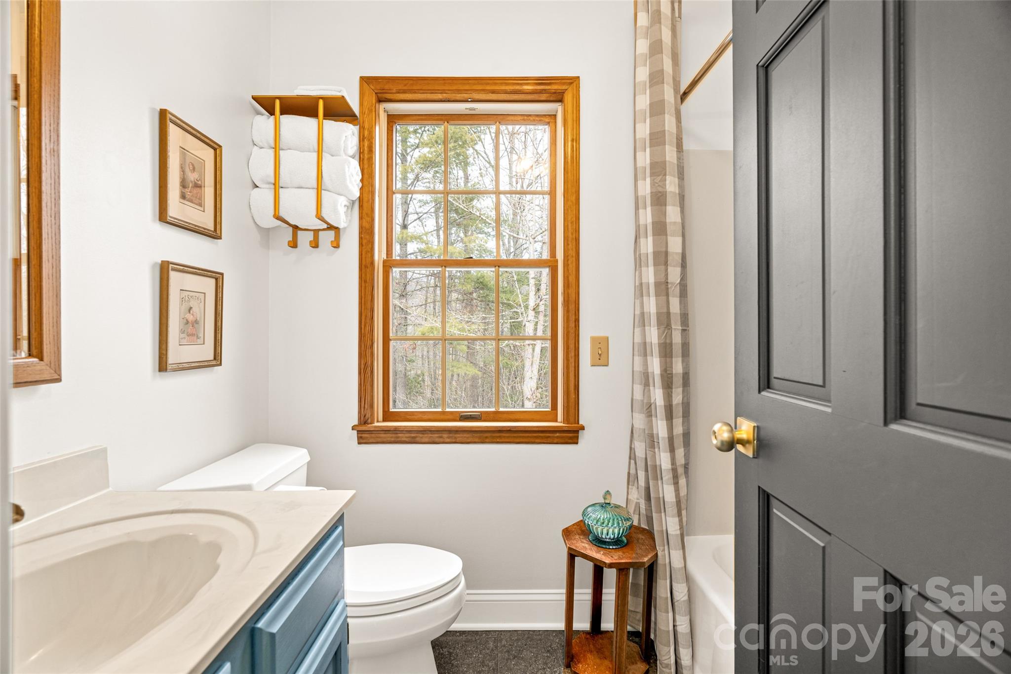 649 Upper Bailey Branch Road Mars Hill, NC 28754 - Photo 30 of 37 a bathroom with a toilet a sink and a window