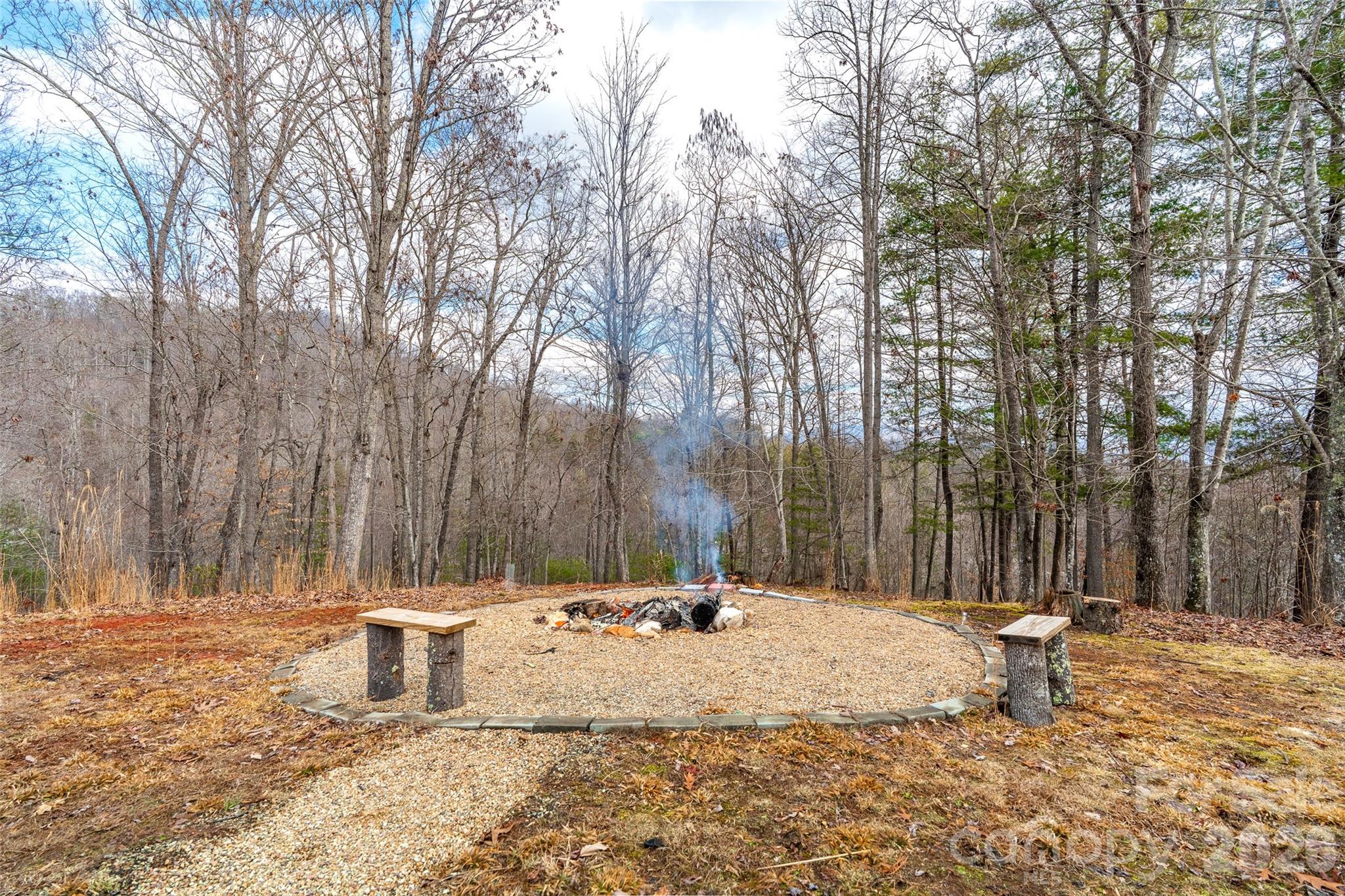 649 Upper Bailey Branch Road Mars Hill, NC 28754 - Photo 33 of 37 a view of outdoor space with trees