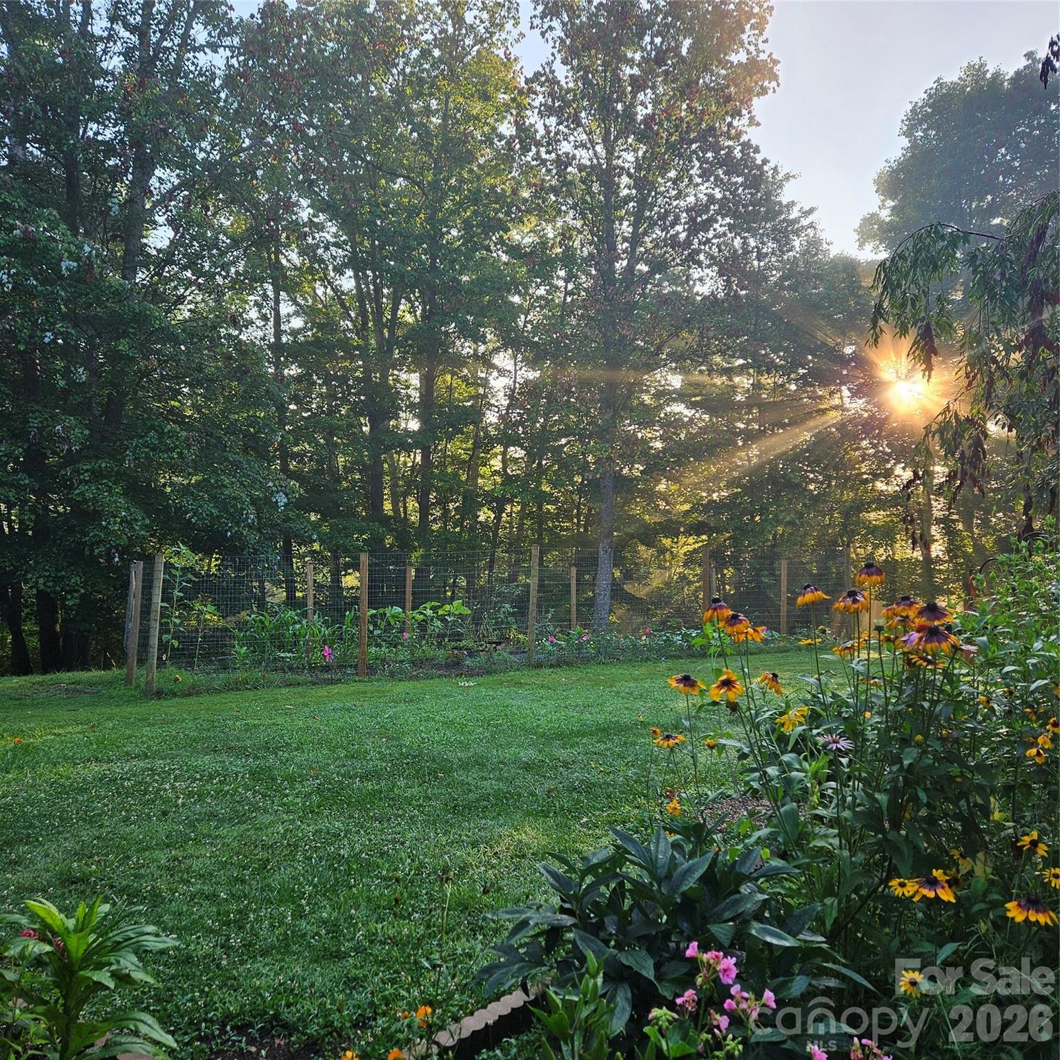 649 Upper Bailey Branch Road Mars Hill, NC 28754 - Photo 4 of 37 a green field with lots of flowers in it