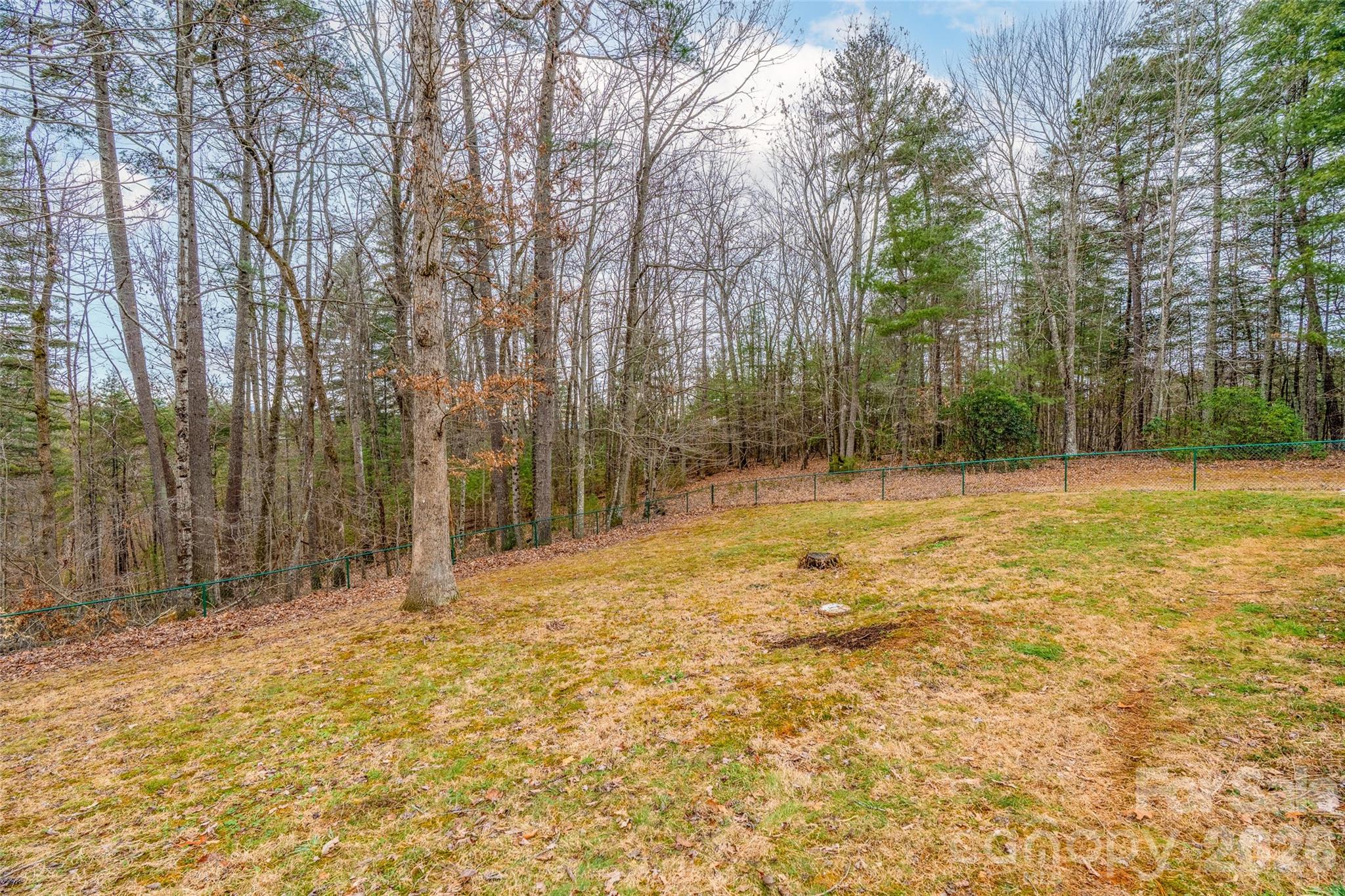 649 Upper Bailey Branch Road Mars Hill, NC 28754 - Photo 5 of 37 a view of a yard with trees in front of it