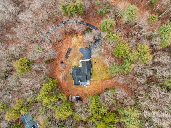a view of a garden with a tree