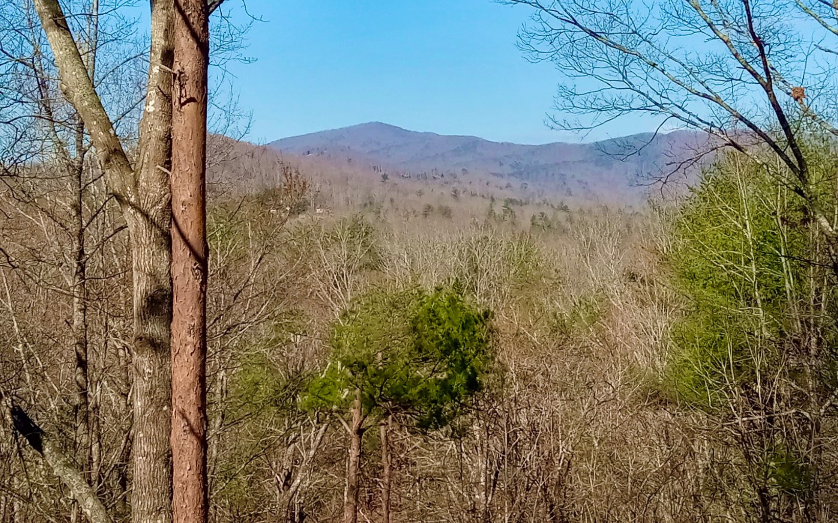 284 Aska Springs Road Blue Ridge, GA 30513 - Photo 2 of 53 Additional View