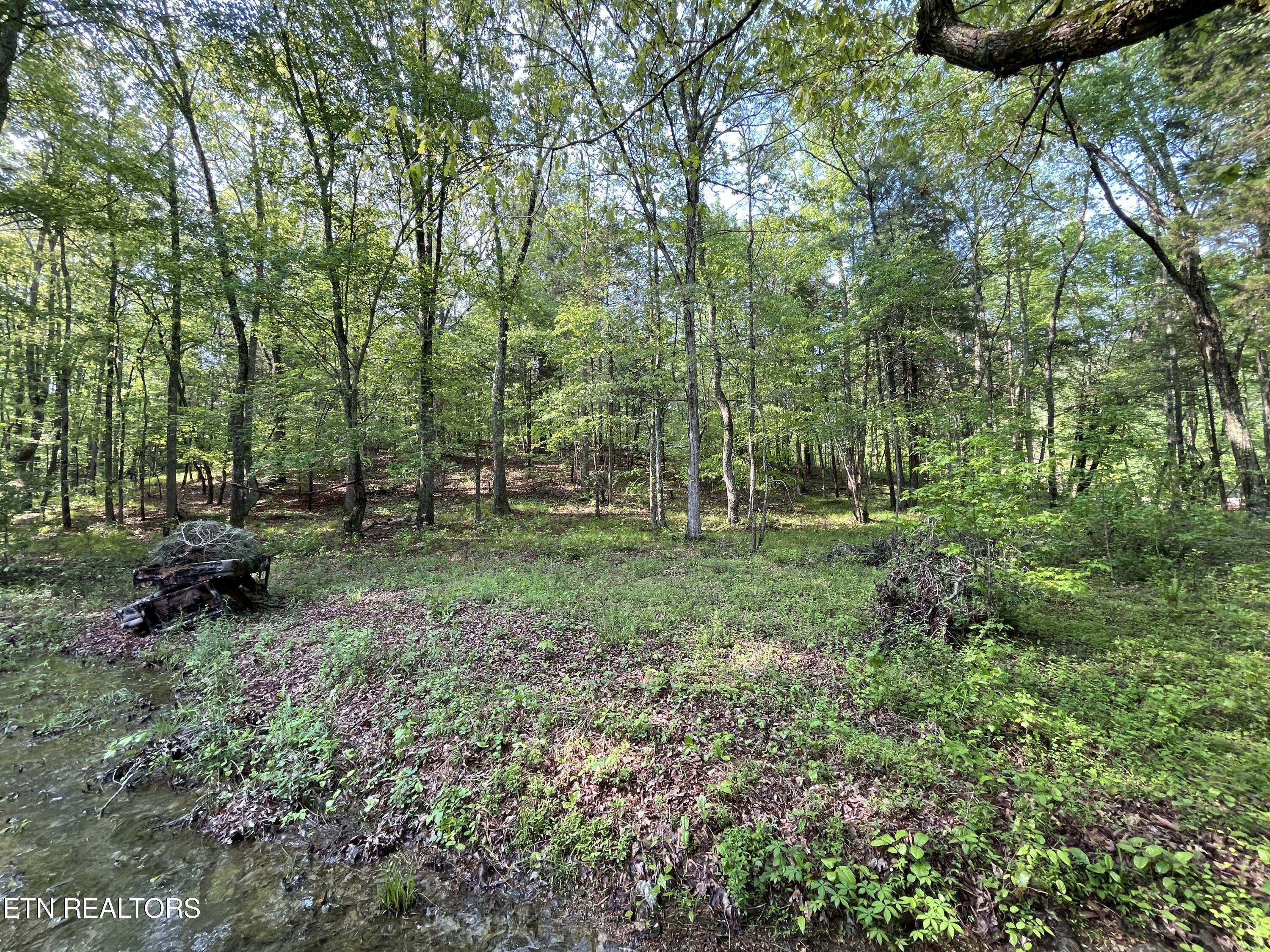 Lot 3 Womac Hollow Road Ten Mile, TN 37880 - Photo 2 of 4 IMG_8183