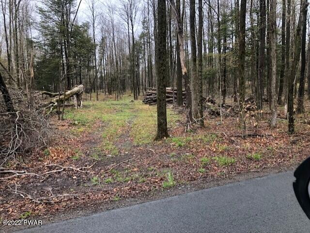 Hilltop Road Newfoundland, PA 18445 - Photo 2 of 6
