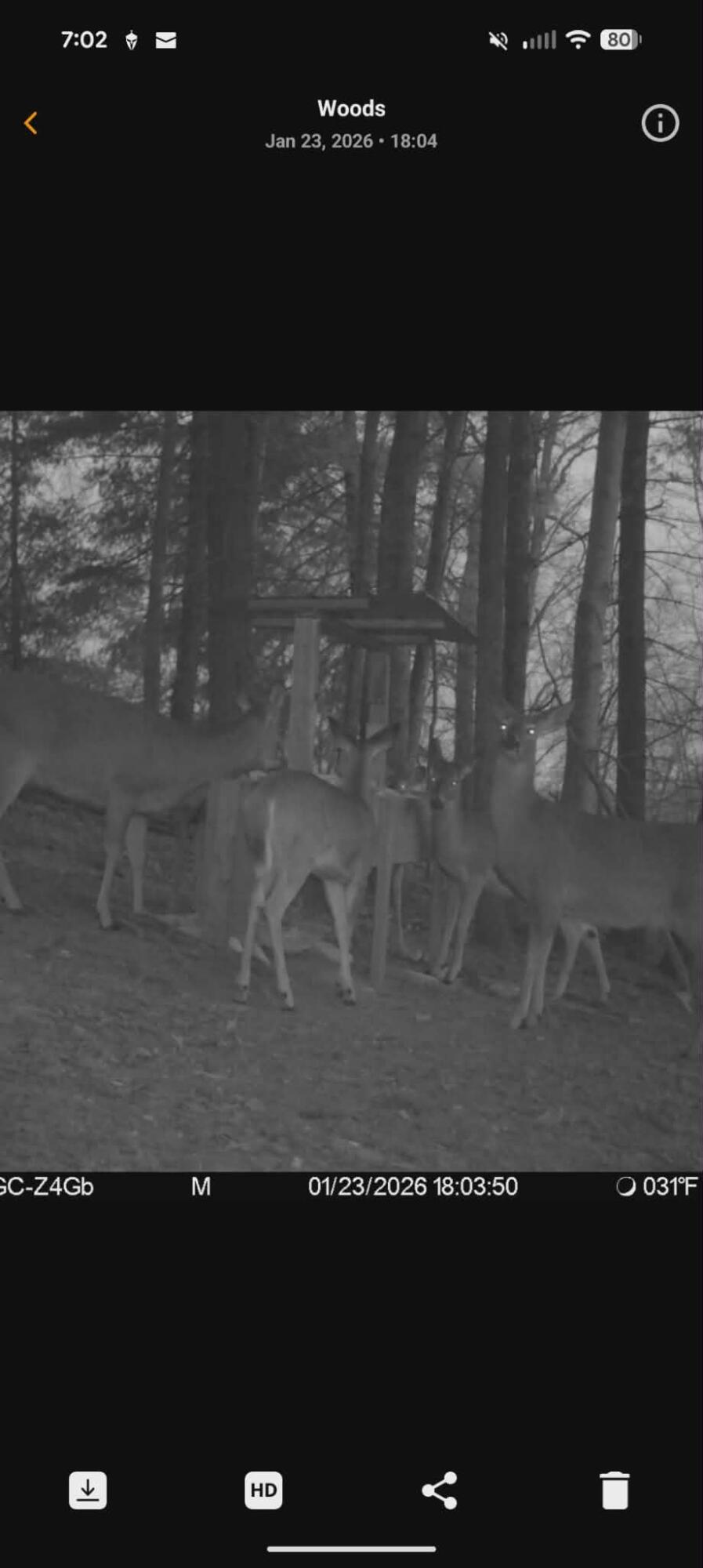 404 Lower Nickell Branch Road Hazel Green, KY 41332 - Photo 68 of 89 att.bDbHi20NEsvDUlw8cOQ5voD0SIDIwOQIYjCb