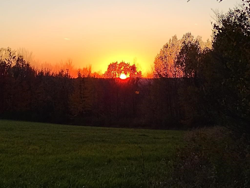 1430 Swarthout Road Lindley, NY 14830 - Photo 6 of 19