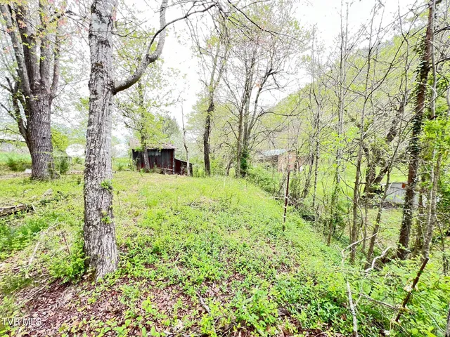 $29,900 | Tbd Golden Drive, Unit 1421, Gate City, VA 24251