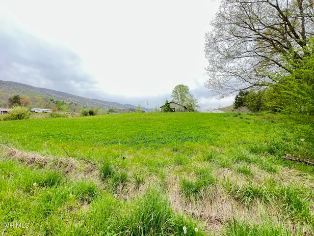 $29,900 | Tbd Golden Drive, Unit 1421, Gate City, VA 24251