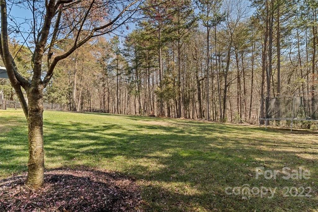 771 Harvest Pointe Drive Fort Mill, SC 29708 - Photo 46 of 48 a view of outdoor space with yard and trees all around