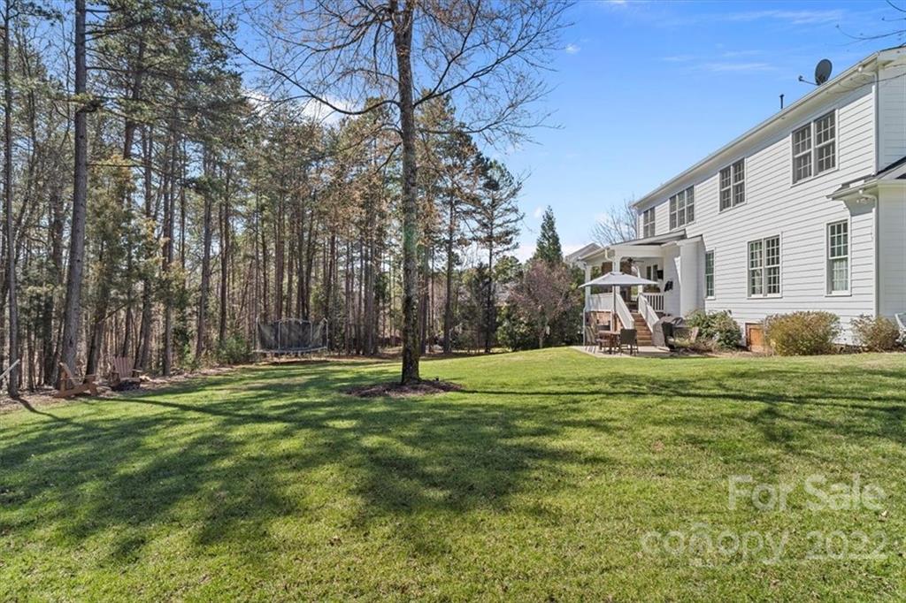 771 Harvest Pointe Drive Fort Mill, SC 29708 - Photo 47 of 48 a backyard of a house with lots of green space