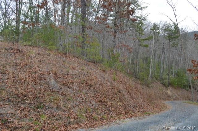 Lot 25 Fox Ridge, Unit 25 Marion, NC 28752 - Photo 3 of 14 Gallery Image 3