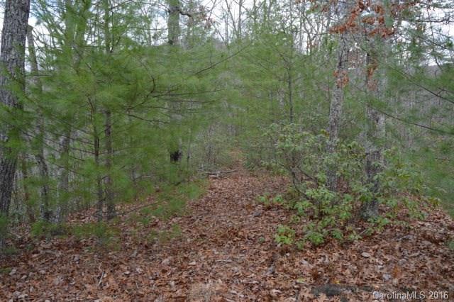 Lot 25 Fox Ridge, Unit 25 Marion, NC 28752 - Photo 5 of 14 Gallery Image 5