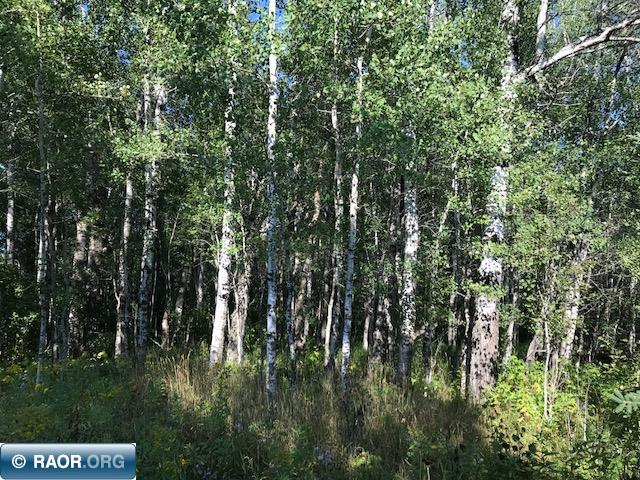 528 County Road 528 Cook, MN 55723 - Photo 1 of 9