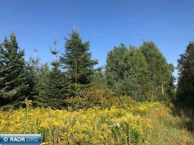 528 County Road 528 Cook, MN 55723 - Photo 2 of 9