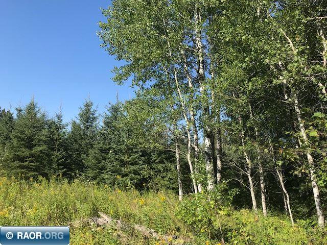 528 County Road 528 Cook, MN 55723 - Photo 8 of 9