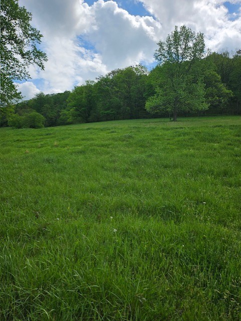 263 Club Springs Road Elmwood, TN 38560 - Photo 2 of 6