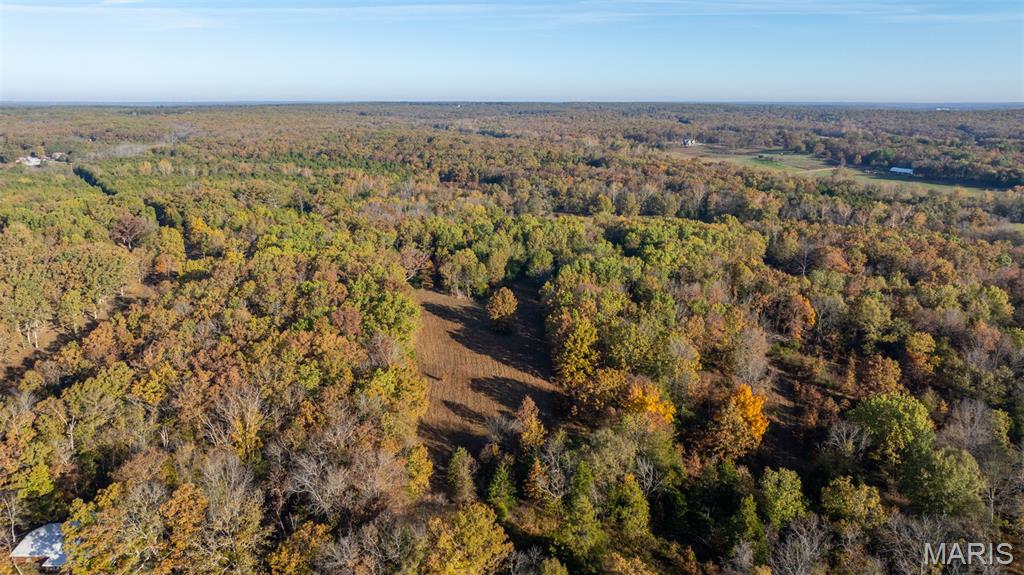 0 Oak Forest Road Bland, MO 65014 - Photo 1 of 25