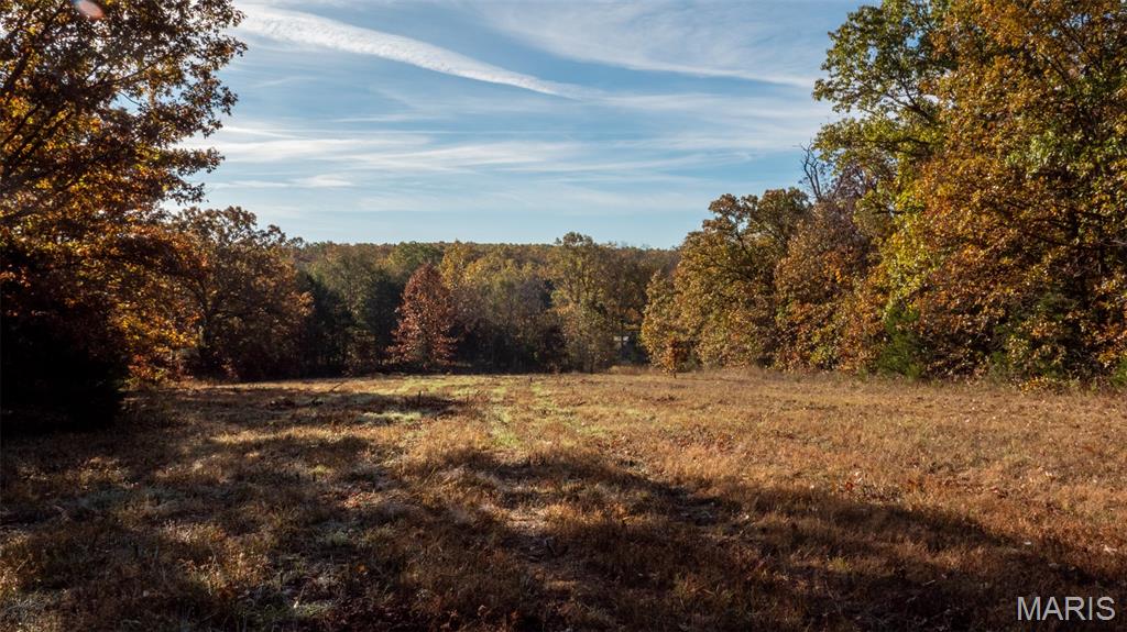 0 Oak Forest Road Bland, MO 65014 - Photo 11 of 25