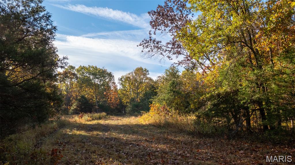 0 Oak Forest Road Bland, MO 65014 - Photo 15 of 25