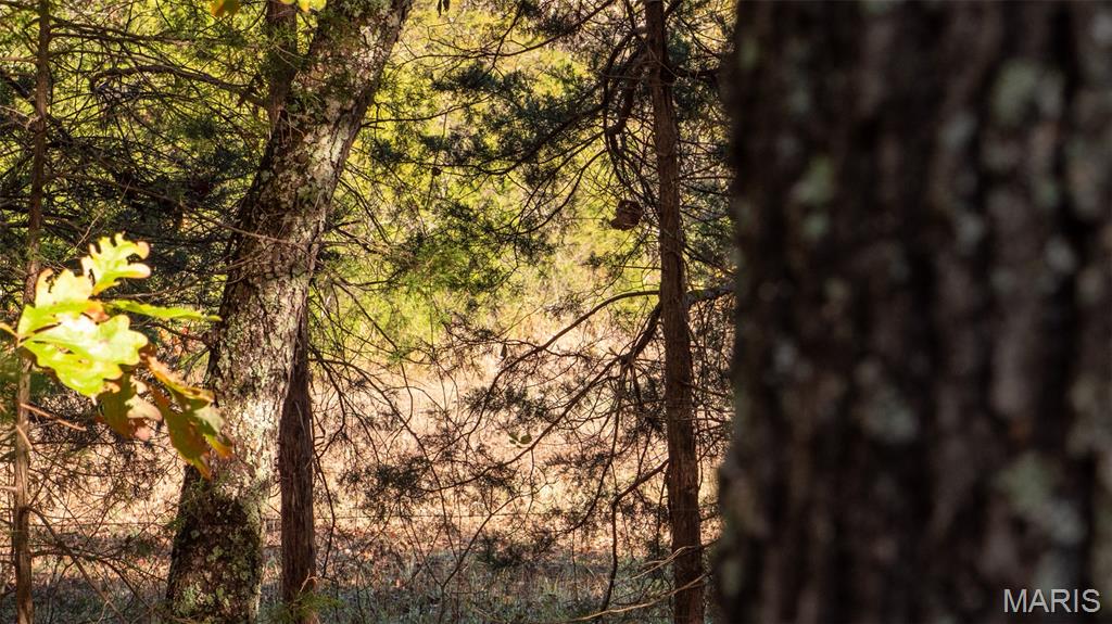 0 Oak Forest Road Bland, MO 65014 - Photo 16 of 25