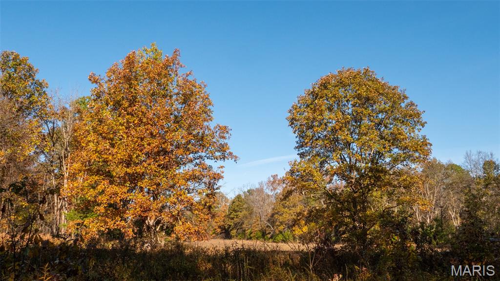 0 Oak Forest Road Bland, MO 65014 - Photo 17 of 25