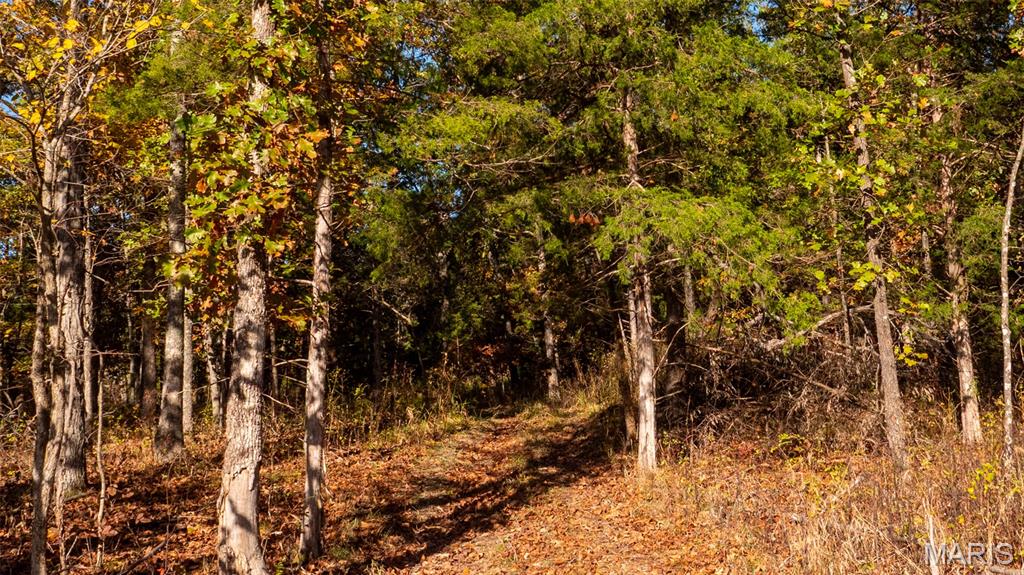 0 Oak Forest Road Bland, MO 65014 - Photo 18 of 25