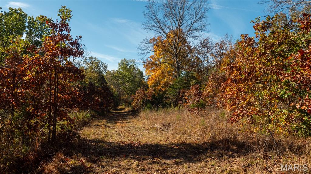 0 Oak Forest Road Bland, MO 65014 - Photo 19 of 25