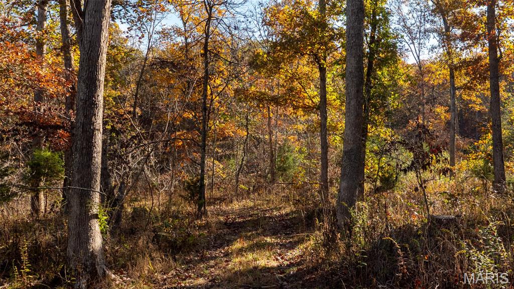 0 Oak Forest Road Bland, MO 65014 - Photo 20 of 25