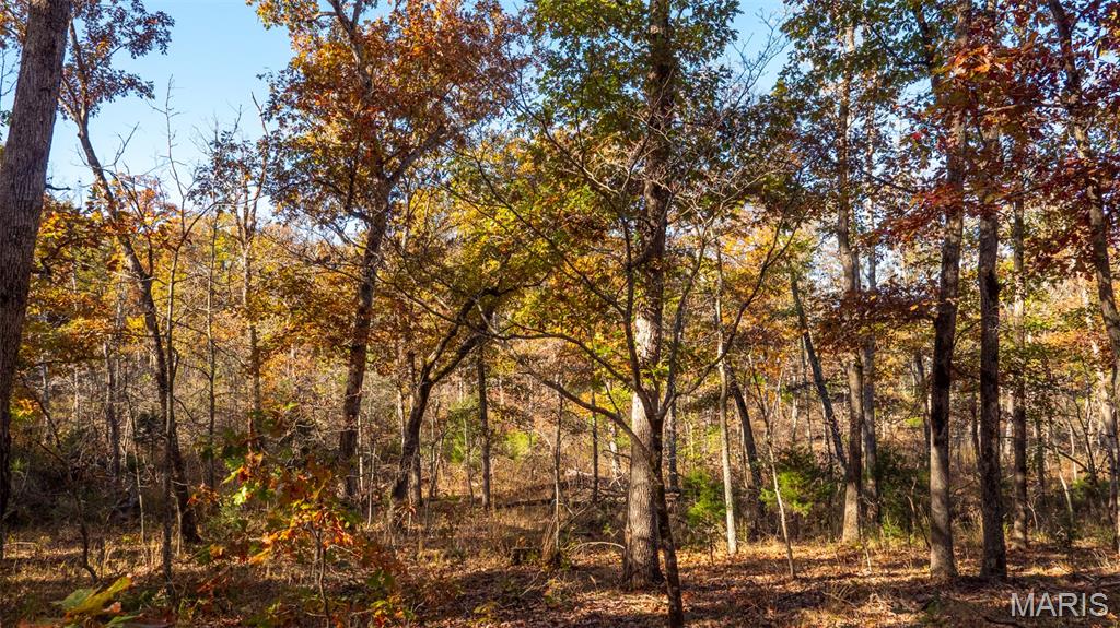 0 Oak Forest Road Bland, MO 65014 - Photo 21 of 25