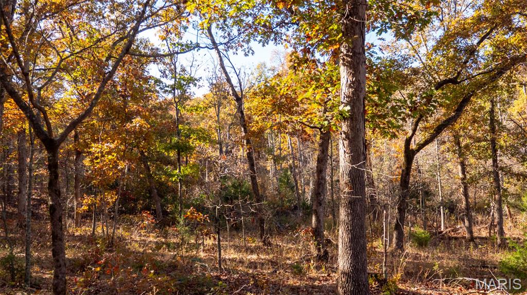 0 Oak Forest Road Bland, MO 65014 - Photo 22 of 25