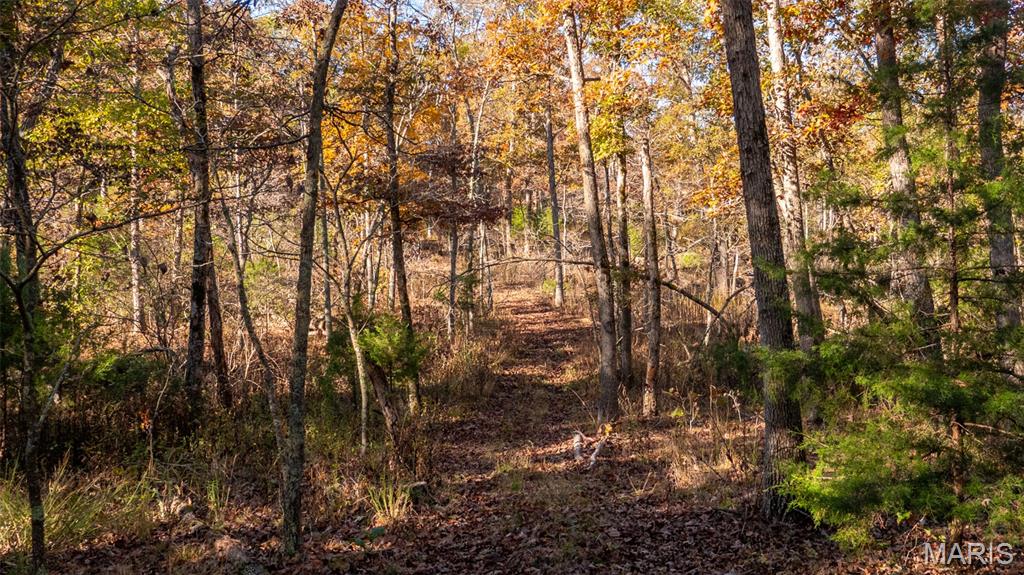 0 Oak Forest Road Bland, MO 65014 - Photo 23 of 25