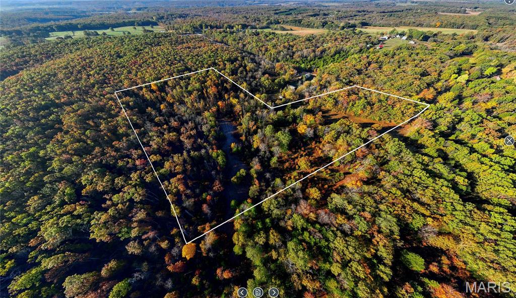 0 Oak Forest Road Bland, MO 65014 - Photo 25 of 25