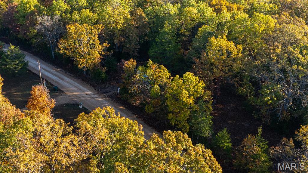 0 Oak Forest Road Bland, MO 65014 - Photo 3 of 25