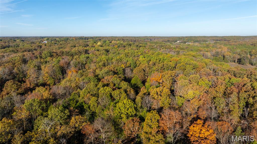 0 Oak Forest Road Bland, MO 65014 - Photo 4 of 25