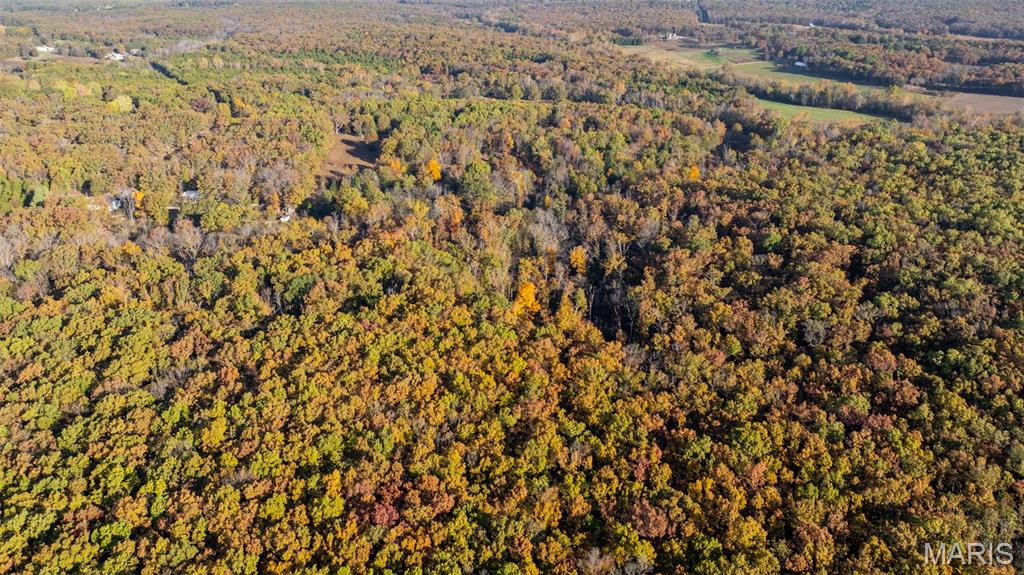0 Oak Forest Road Bland, MO 65014 - Photo 5 of 25