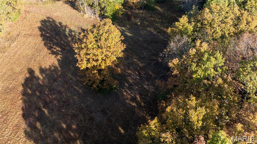 0 Oak Forest Road Bland, MO 65014 - Photo 6 of 25