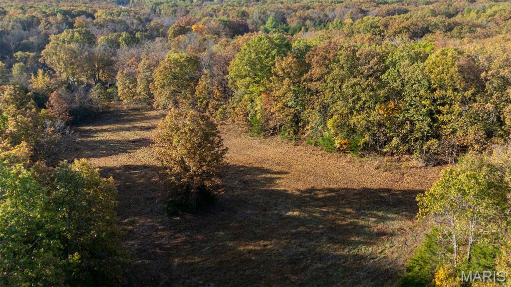 0 Oak Forest Road Bland, MO 65014 - Photo 7 of 25