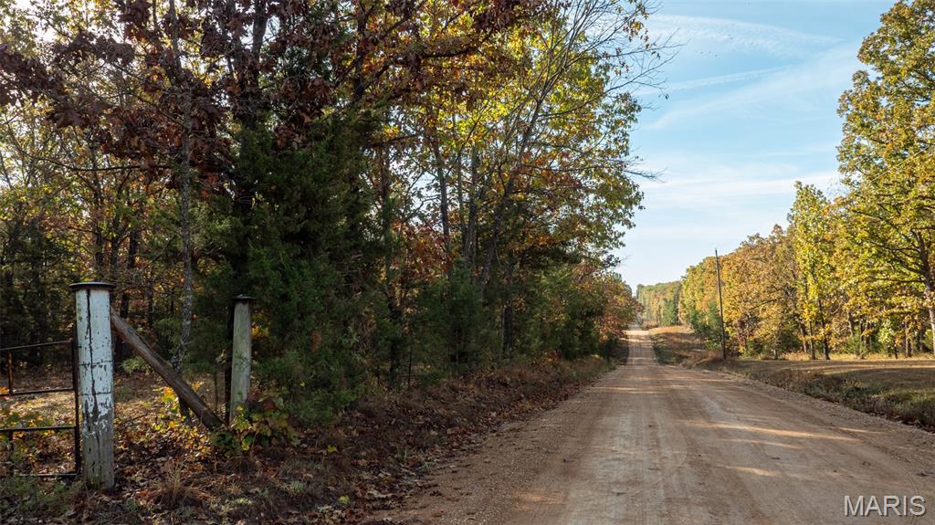0 Oak Forest Road Bland, MO 65014 - Photo 8 of 25