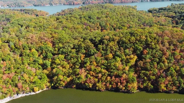 $62,497 | 0 Coffman Bend Drive, Climax Springs, MO 65324