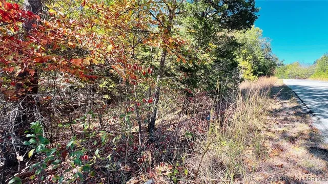 $62,497 | 0 Coffman Bend Drive, Climax Springs, MO 65324