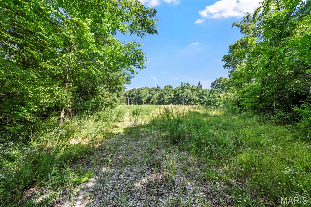 9-acres Timber Ridge Drive Marthasville, MO 63357 - Photo 7 of 22