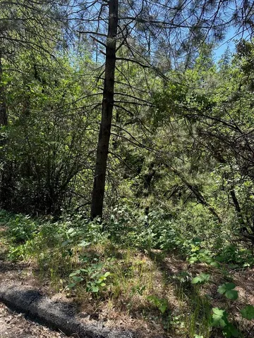 $6,000 | Yurok, Lakehead, CA 96051