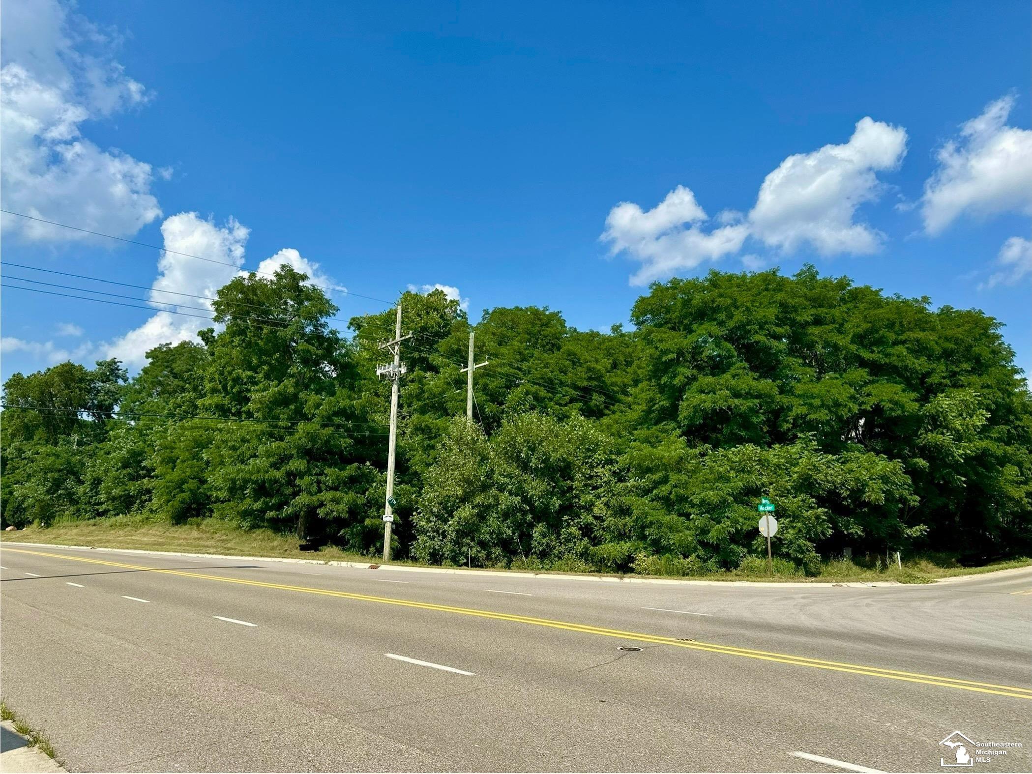 0 North Hacker Road Howell, MI 48843 - Photo 2 of 5