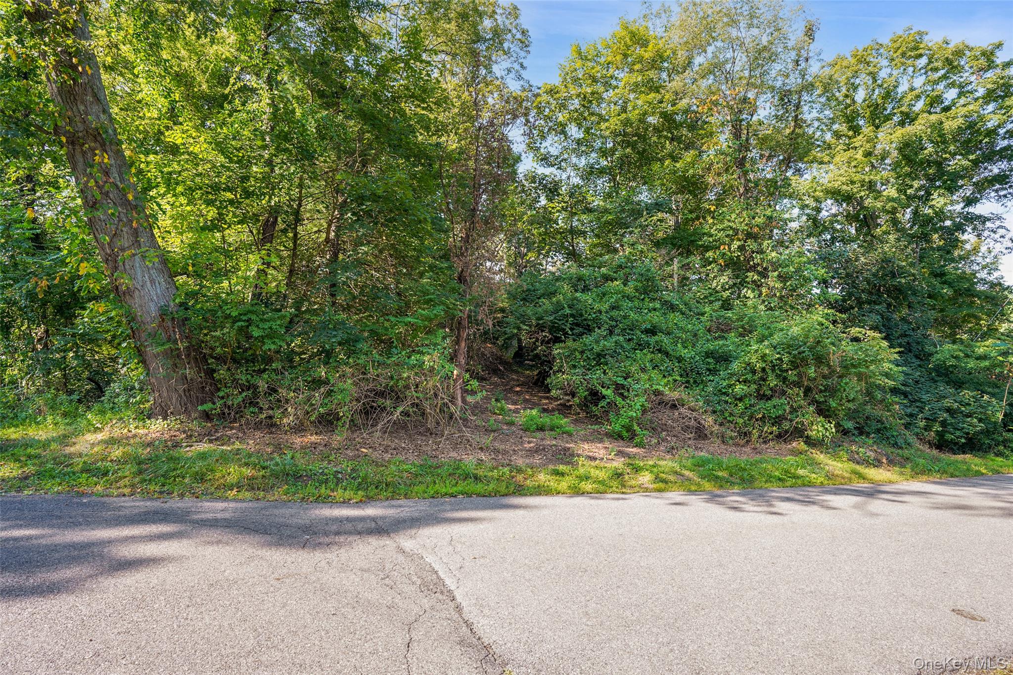 4 Owens Road Croton Falls, NY 10519 - Photo 3 of 3 a backyard of a house with lots of green space