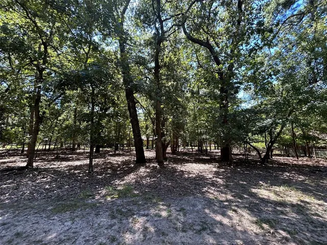 $20,000 | 202 Magnolia Lane, Hawkins, TX 75765