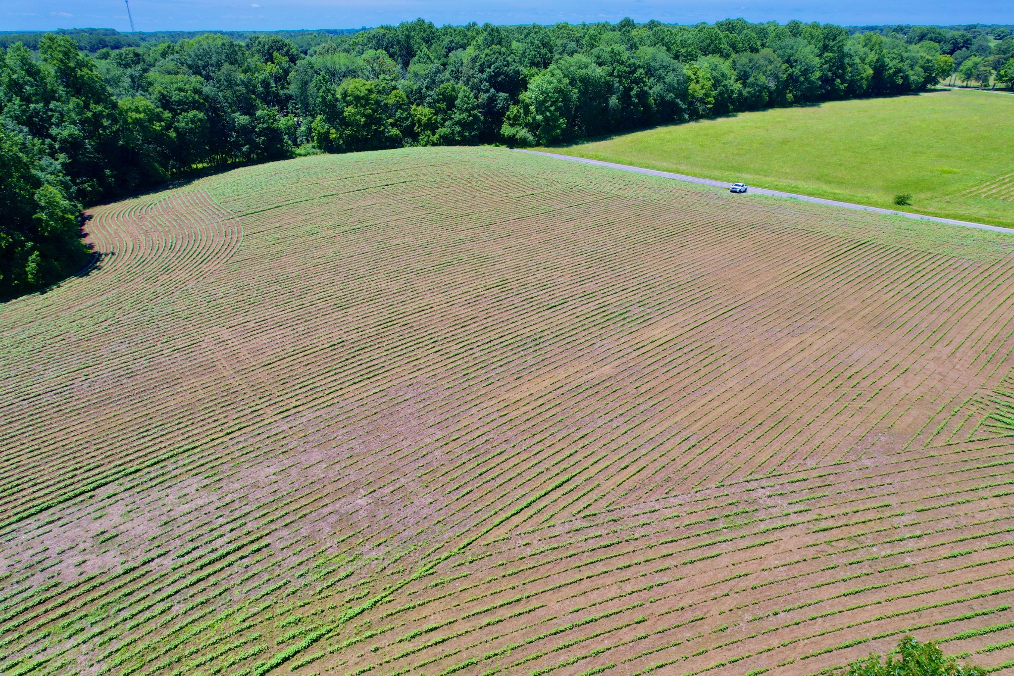 20 Lambs Ferry Road Leoma, TN 38468 - Photo 4 of 12